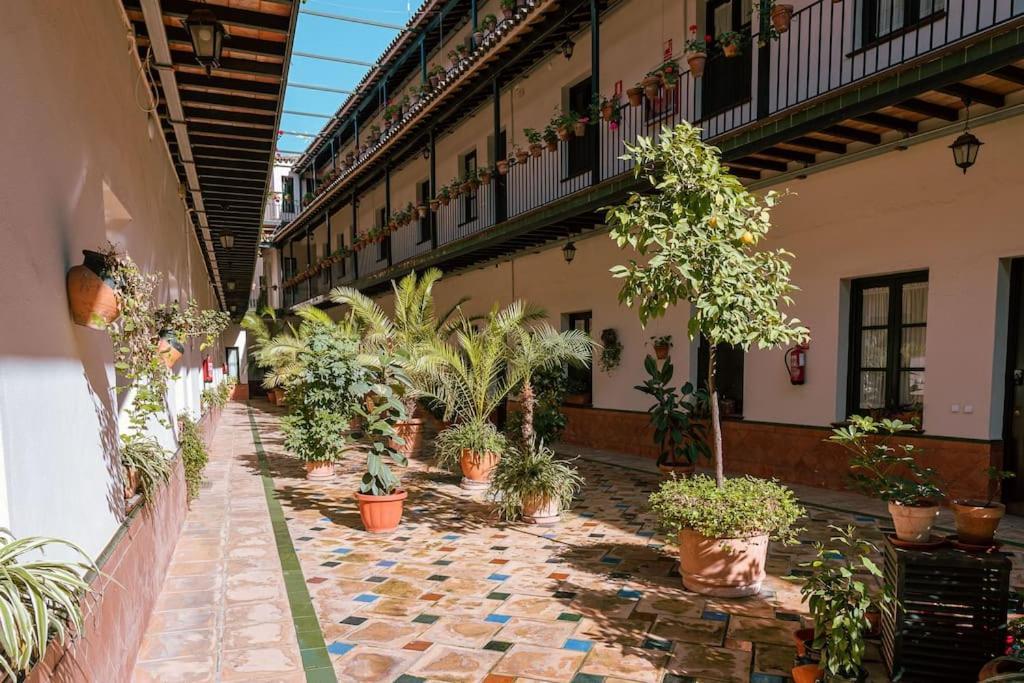 Apartamento Con Encanto En Patio Sevillano Exterior foto